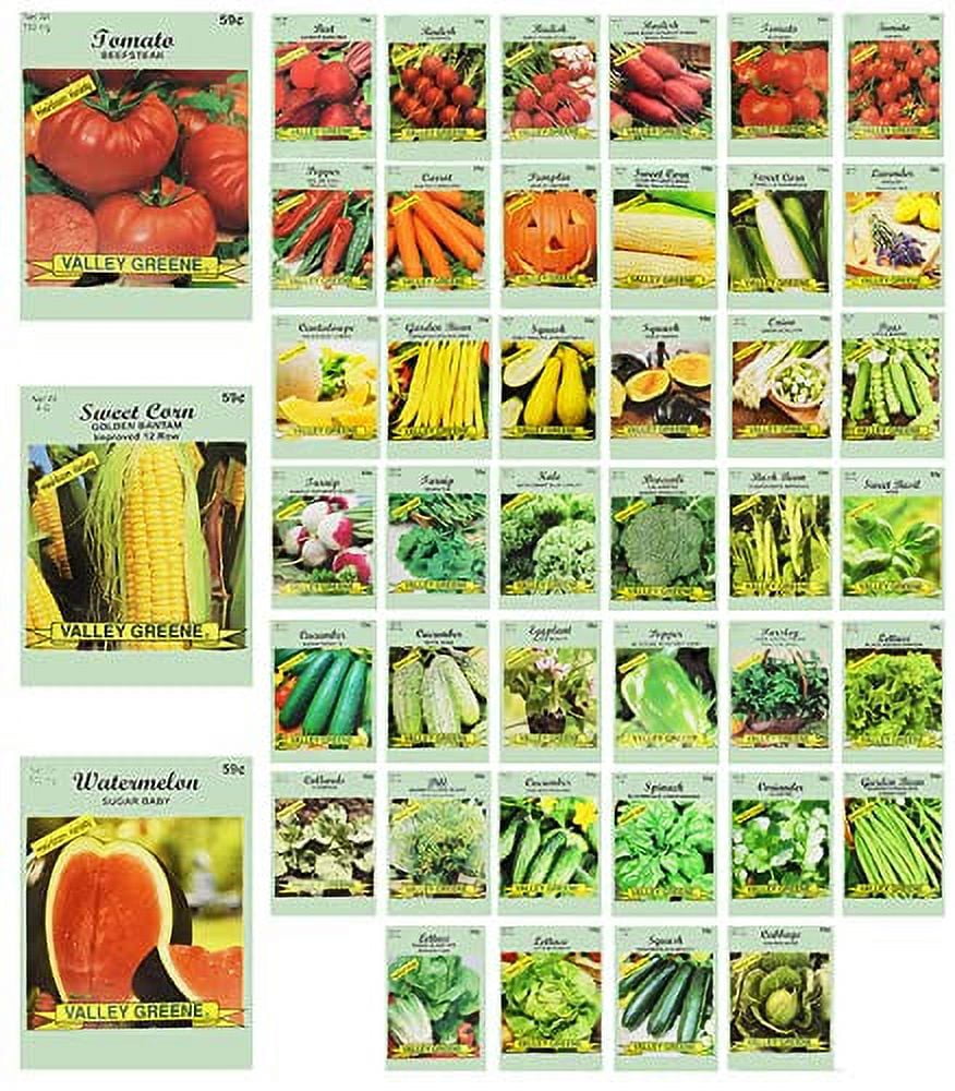 FridgeSmart Vegetable Fruit & Herb Chart 2016