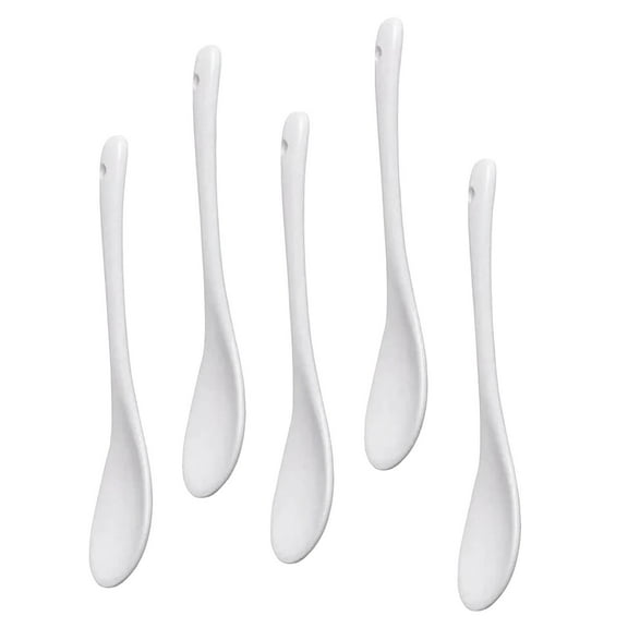 Set of 5 Ceramic Spoon Teaspoon Spoon
