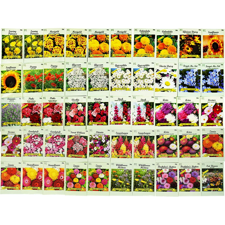 Set of 50 Assorted Flower Seed Packets! Flower Seeds in Bulk - 20+  Varieties Available!