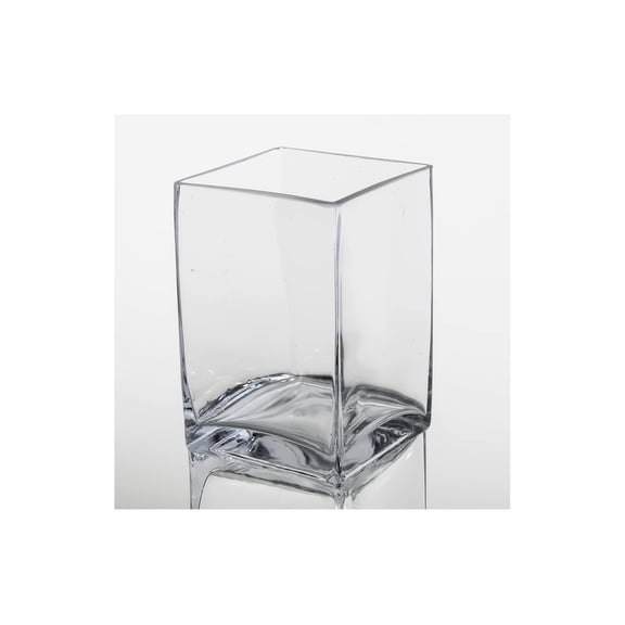 Set of 6 CintBllTer Square Vase 6"