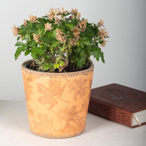 Set of 6 Maple Leaves Pattern Planter