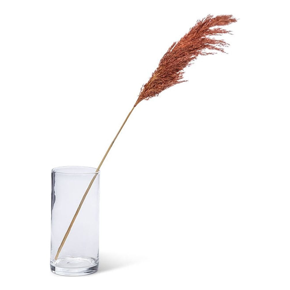 Set of 6 Medium Pampas Grass