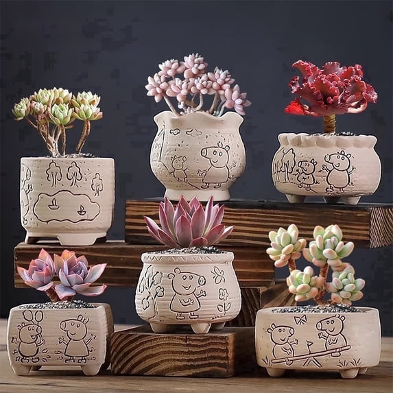 Set of 6 Mini Succulent Ceramic Pots in Farmhouse Style with Mixed ...