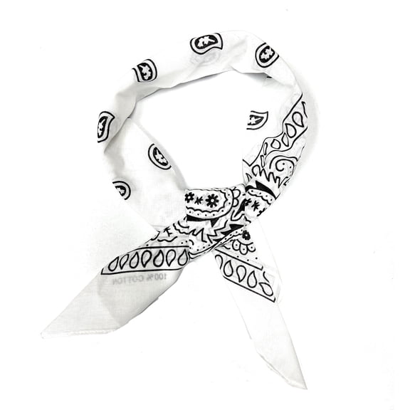 Set of 6 Paisley Neck Hair Scarf for Women Square Chiffon Accessory (White)