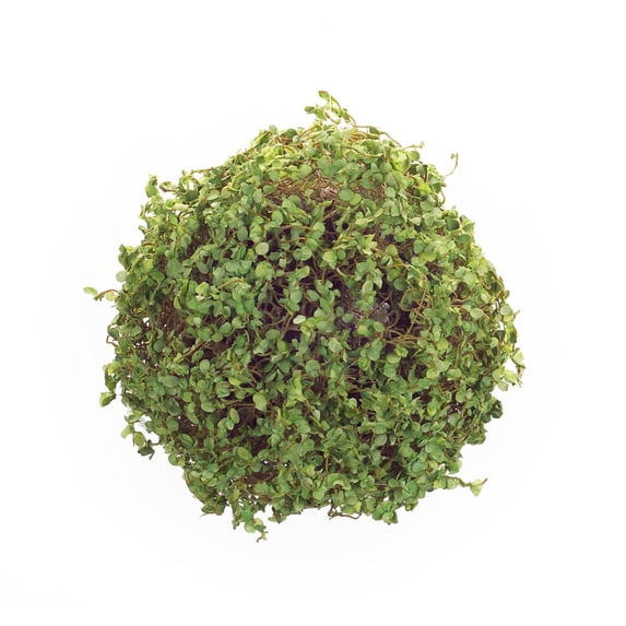Set of 6 Spring Green Artificial Decorative Moss Orb 7"