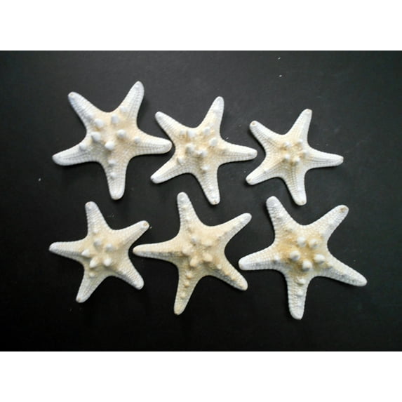 Set of 6 White Knobby Starfish for Beach Wedding Crafts and Decor 3-4" (77-102 mm) Nautical Coastal Beach Cottage Decor