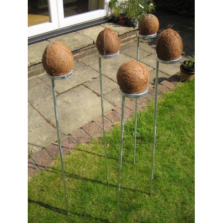 Set of 7 coconut shy posts