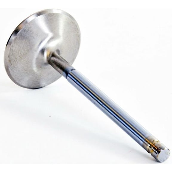 Set of 8 High Performance EV8 Stainless Intake Valves | Compatible with various GM/Chevrolet Small Block 4.9L/5.3L/5.7L/6.3L