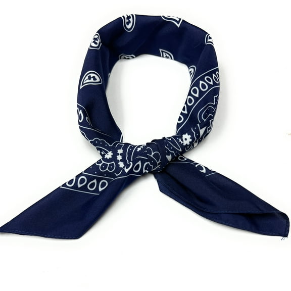 Set of 9 Paisley Women's Neck Scarf Soft, Shiny 27"x27" Chiffon Square (Navy Blue)