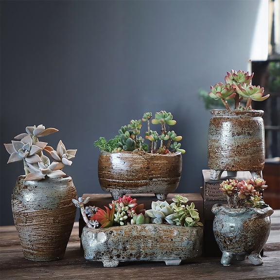 Set of Five Vintage Ceramic Succulent Plant Pots in Mixed Shapes