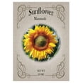 Set of Flower Seed Packets! Flower Seeds in Bulk Great for Creating