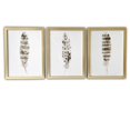 thumbnail image 1 of Set of Three Three Neutral Brown Feathers Framed Wall Art Set, 1 of 5
