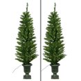 Set of Two 4.5 Feet High Prelit Entryway Pine Trees in Pot