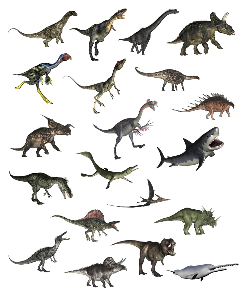 Set of dinosaurs Canvas Art - Elena DuvernayStocktrek Images (13 x 16)