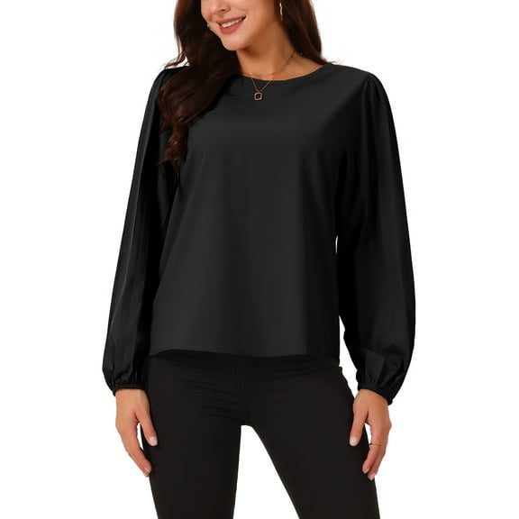 INSPIRE CHIC Women's Elegant Round Neck Chiffon Blouses Pleated Long Sleeve Flowy Dressy Business Tops