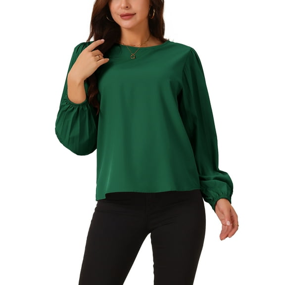INSPIRE CHIC Women's Elegant Round Neck Chiffon Blouses Pleated Long Sleeve Flowy Dressy Business Tops