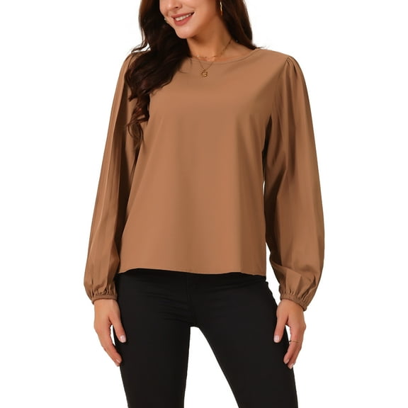 INSPIRE CHIC Women's Elegant Round Neck Chiffon Blouses Pleated Long Sleeve Flowy Dressy Business Tops