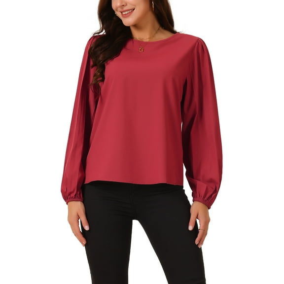 INSPIRE CHIC Women's Elegant Round Neck Chiffon Blouses Pleated Long Sleeve Flowy Dressy Business Tops