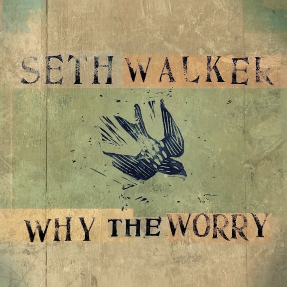 Seth Walker - WHY THE WORRY - Music & Performance - Vinyl
