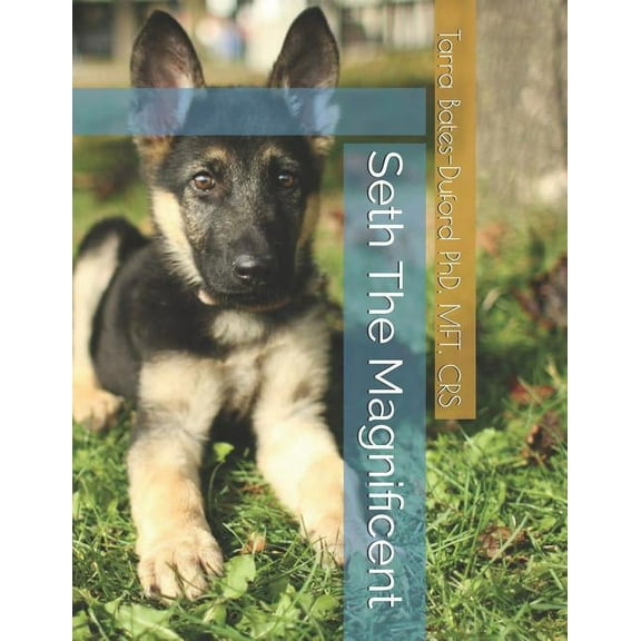 Seth The Magnificent Paperback 1729250734 9781729250730 MFT Bates-Duford PhD