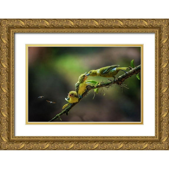 Setiadi, Ajar 24x17 Gold Ornate Wood Framed with Double Matting Museum Art Print Titled - A Yellow Birds