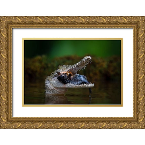 Setiadi, Ajar 24x17 Gold Ornate Wood Framed with Double Matting Museum Art Print Titled - Got A Very Big Fish