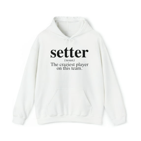 Setter Definition Volleyball Hoodie, Gifts, Hooded Sweatshirt