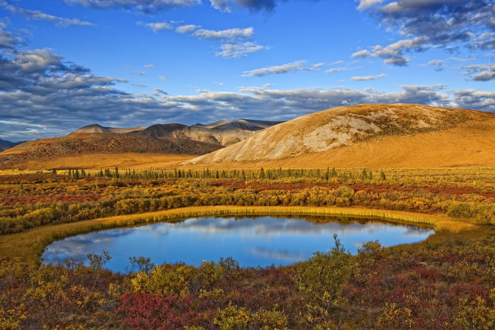 The Setting Sun Illuminates The Vibrant Colours Of The Tundra And A Pond Along The Dempster Highway Yukon Canada Canvas Art - Robert Postma Design Pics (18 x 12)