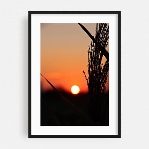 Through to the Setting Sun - New Jersey Photography Sunset Silhouette Nature Scenic Landscape Minimalist Calm Black Framed Wall Art Print 5 x 7 inches