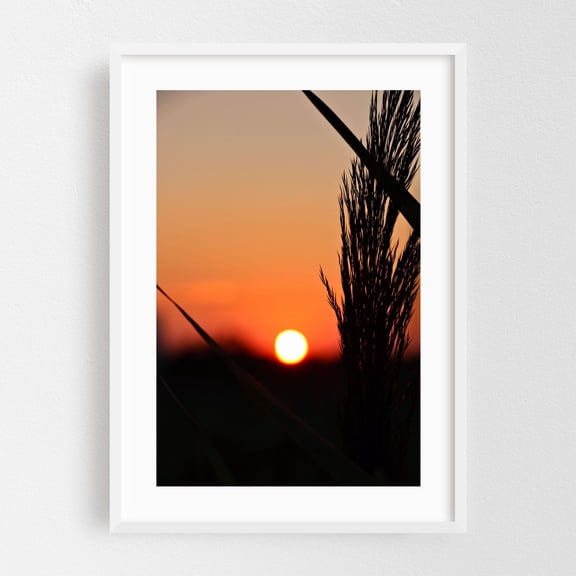 Through to the Setting Sun - New Jersey Photography Sunset Silhouette Nature Scenic Landscape Minimalist Calm White Framed Wall Art Print 24 x 36 inches