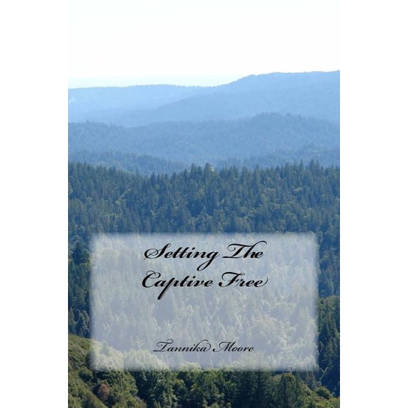 Setting The Captive Free (Paperback)