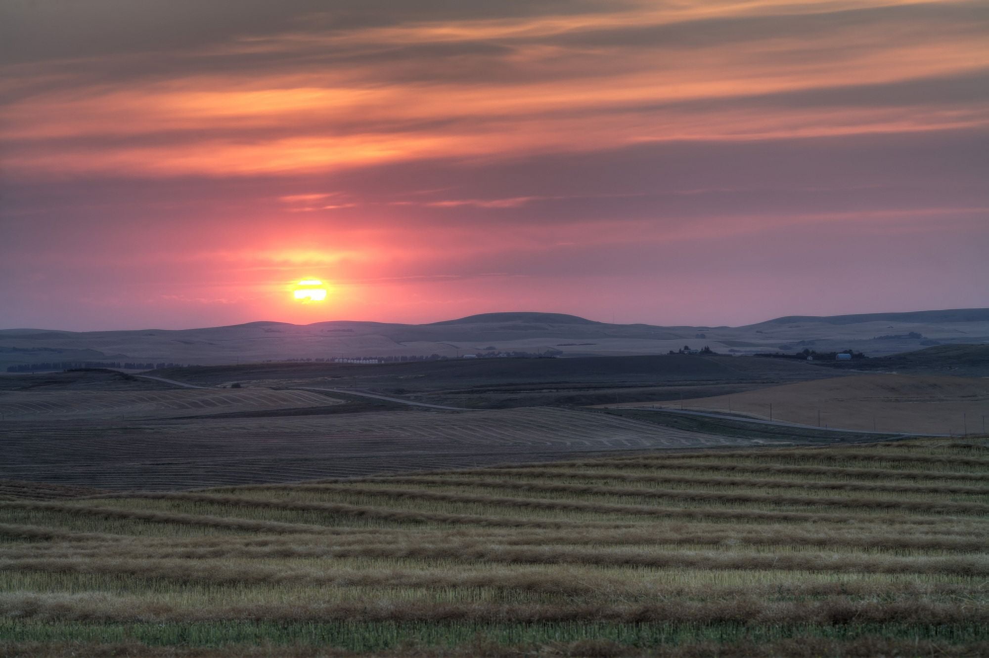 Setting sun over harvested field Gleichen Alberta Canada Canvas Art - Alan DyerStocktrek Images (35 x 23)