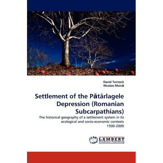 Settlement of the P Tarlagele Depression (Romanian Subcarpathians) (Paperback)