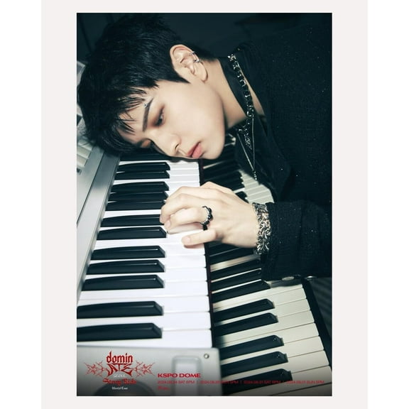 Seungmin Stray Kids World Tour Dominate Seoul Music Posters Aesthetics Home Office Wall Decor And Creative Painting Decoration