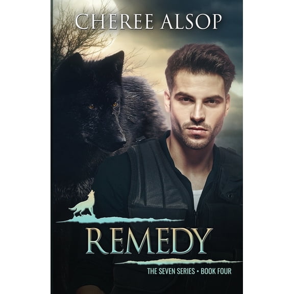 Seven: Remedy: The Seven Series Book Four (Paperback)