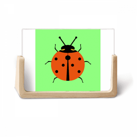 Seven Star Ladybug Animated Pest Insect Photo Wooden Photo Frame Tabletop Display