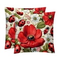 thumbnail image 1 of Seven Starred Ladybird Velvet Bed Pillow Throw Covers Pillow Inserts Throw Pillows with Unique Patterns - Set of 2, Sizes 16x16, 18x18, 20x20 Inches for Various Occasions, 1 of 6
