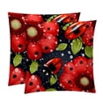 thumbnail image 1 of Seven Starred Ladybird Velvet Throw Pillow Covers Set of 2 | Unique Patterns in 16x16, 18x18, 20x20 Inches |for Home Decor and Gifts | Includes Pillow Inserts | Throw Pillow Inserts Included, 1 of 6