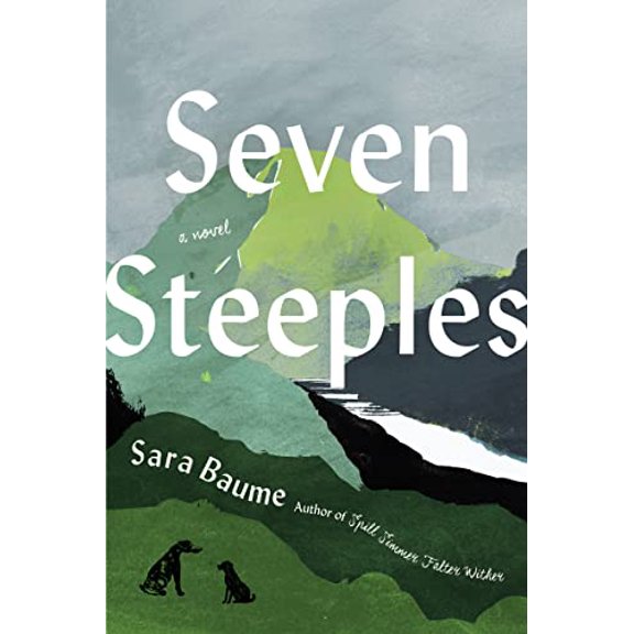 Pre-Owned Seven Steeples (Hardcover) 0358629233 9780358629238