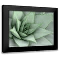 thumbnail image 1 of Seven Trees Design 18x15 Black Modern Framed Museum Art Print Titled - Pointy Tip Succulent, 1 of 5