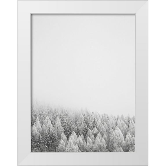 Seven Trees Design 19x24 White Modern Wood Framed Museum Art Print Titled - The White Forest