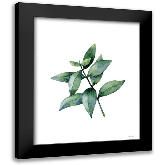Seven Trees Design 20x24 Black Modern Framed Museum Art Print Titled - Eucalyptus IV