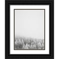 thumbnail image 1 of Seven Trees Design 25x32 Black Ornate Wood Framed with Double Matting Museum Art Print Titled - The White Forest, 1 of 4