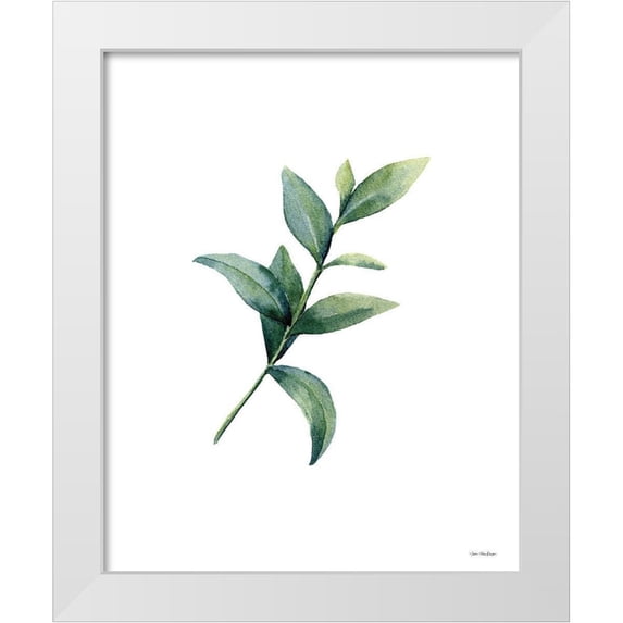 Seven Trees Design 26x31 White Modern Wood Framed Museum Art Print Titled - Eucalyptus III