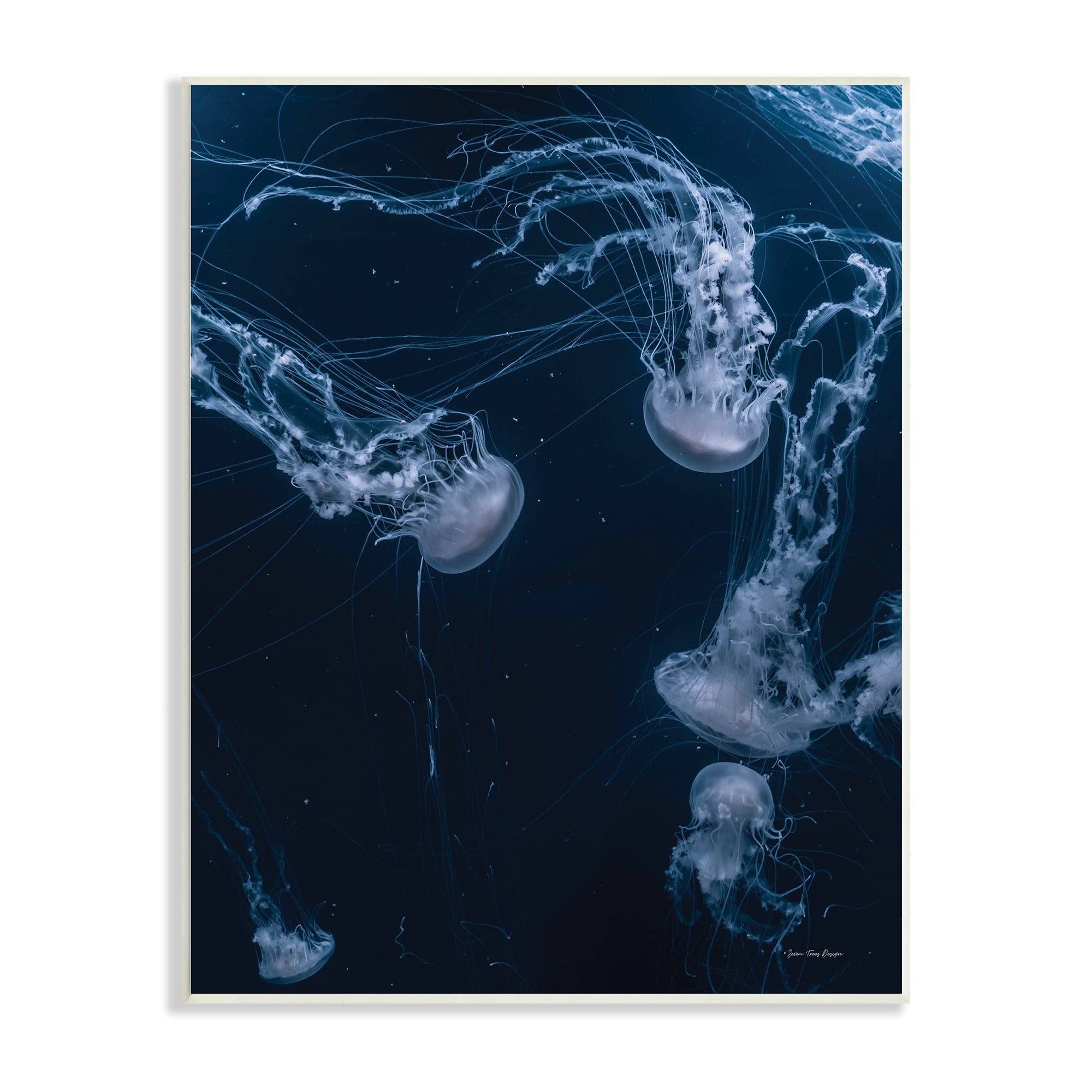 Seven Trees Design Chilling Jellyfish Deep Ocean Fluid Marine Life Scene 13" x 19" Framed Painting Art Print, by Stupell Home Décor