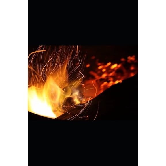 Seventh Seed Saga Seventh Seed Saga: Book One, Book 1, (Paperback)