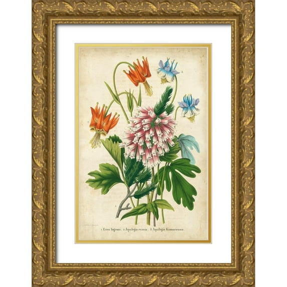 Severeyns 11x14 Gold Ornate Wood Framed with Double Matting Museum Art Print Titled - Summer Medley VI