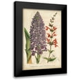 thumbnail image 1 of Severeyns 17x24 Black Modern Framed Museum Art Print Titled - Summer Medley III, 1 of 5