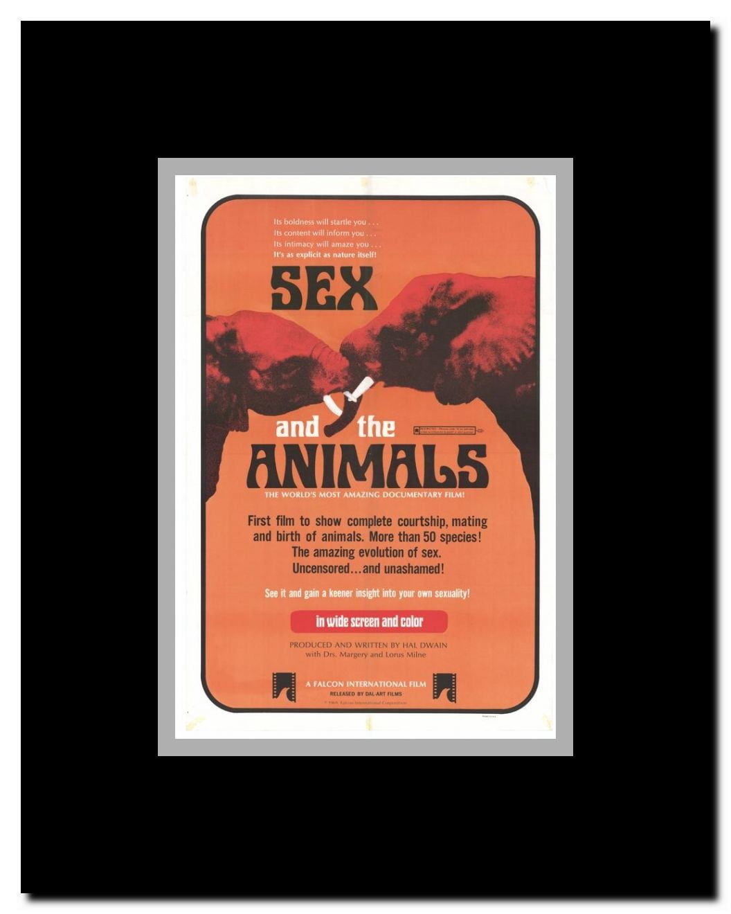 Sex and the Animals Framed Movie Poster
