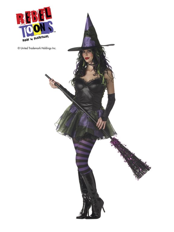 Wicked Witch Of The West Adult Womens Halloween Costume
